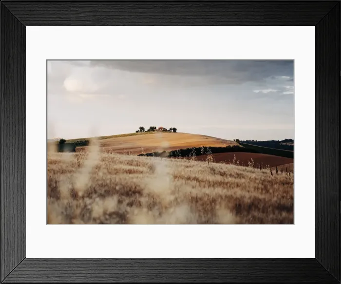 Framed Print : Rural scene, wheat and hills in Marche region, Central Italy