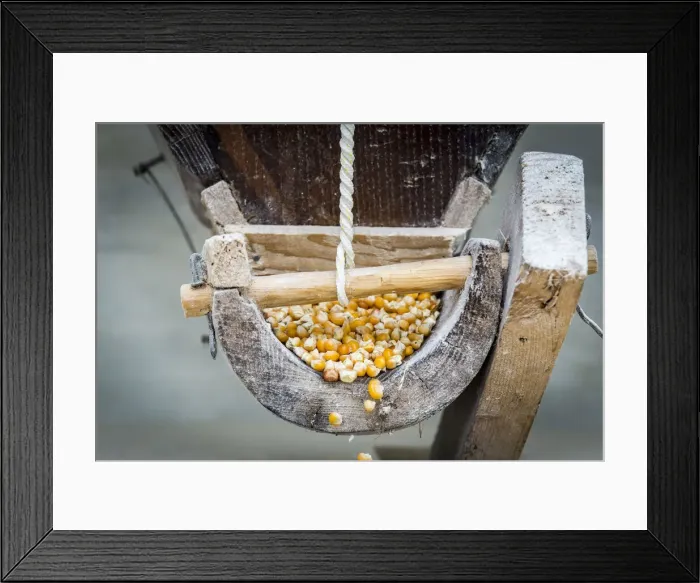 Framed Print : Italy, Tuscany, Serchio Valley, Grains of wheat in the mill of Piezza Framed Print : Italy, Tuscany, Serchio Valley, Grains of wheat in the mill of Piezza