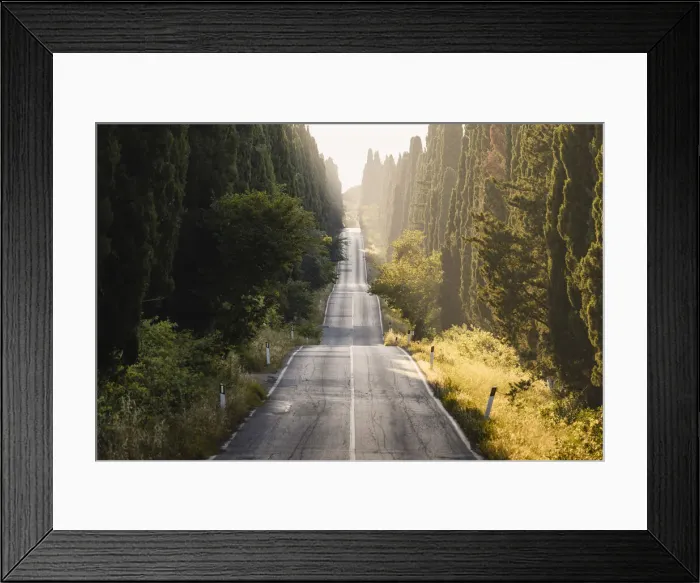 Framed Print : Viale dei Cipressi (Cypress Avenue), Bolgheri, Livorno province, Tuscany, Italy Framed Print : Viale dei Cipressi (Cypress Avenue), Bolgheri, Livorno province, Tuscany, Italy