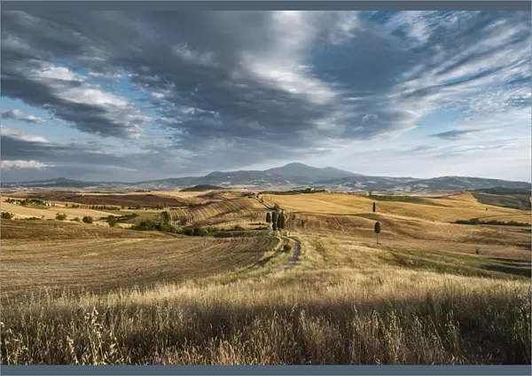Tuscan landscape, Val d Orcia, Siena province, Tuscany, Italy