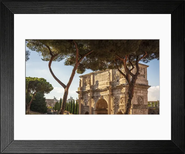 Framed Print : Europe, Italy, Rome. The arch of Constantine and the famous roman pine trees