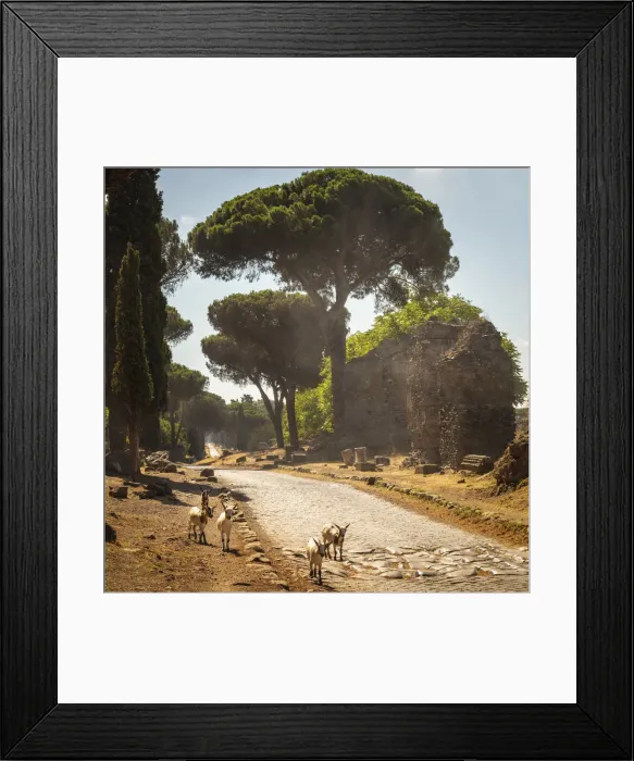 Framed Print : europe, Italy, Latium. Rome, walking on the ancient Via Appia antica Framed Print : europe, Italy, Latium. Rome, walking on the ancient Via Appia antica