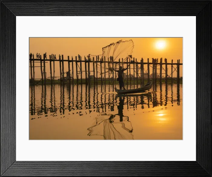 Framed Print : Fisherman throwing fishing net at Taungthaman Lake against U Bein bridge at sunset Framed Print : Fisherman throwing fishing net at Taungthaman Lake against U Bein bridge at sunset