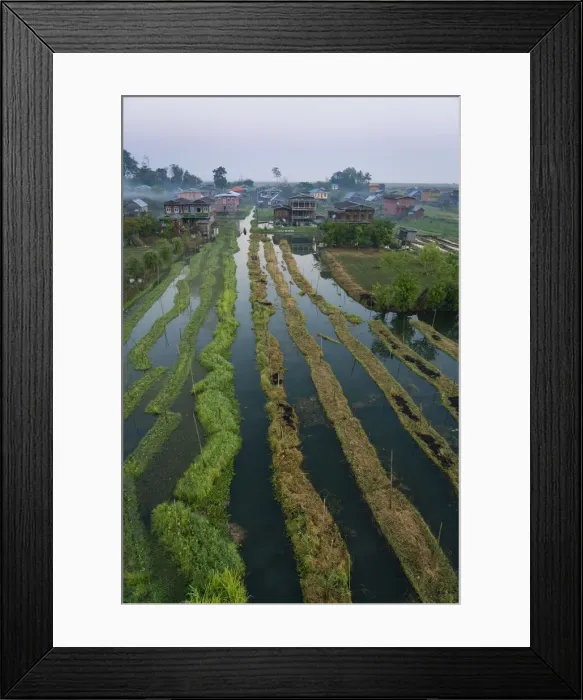 Framed Print : Aerial view of village and floating gardens before sunrise, Lake Inle Framed Print : Aerial view of village and floating gardens before sunrise, Lake Inle