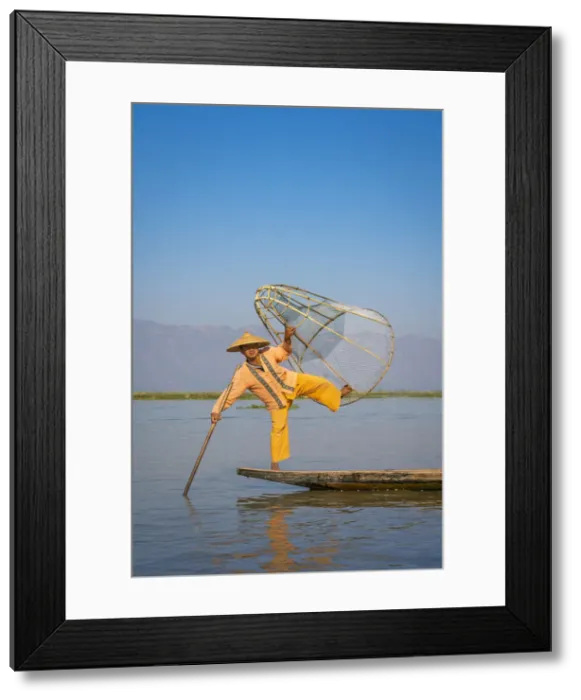 Framed Print : Intha fisherman with a traditional conical fishing, Lake Inle, Nyaungshwe Township Framed Print : Intha fisherman with a traditional conical fishing, Lake Inle, Nyaungshwe Township