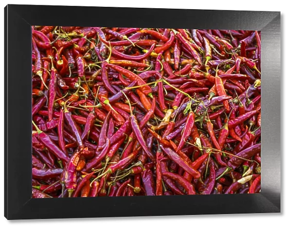 Detail of red chili peppers, near Kalaw, Kalaw Township, Taunggyi District, Shan State