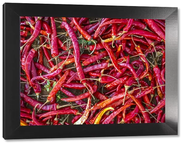Detail of red chili peppers, near Kalaw, Kalaw Township, Taunggyi District, Shan State