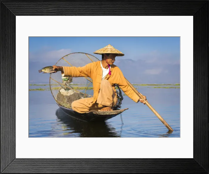 Framed Print : Intha fisherman with a traditional conical fishing net showing fish against clear sky Framed Print : Intha fisherman with a traditional conical fishing net showing fish against clear sky