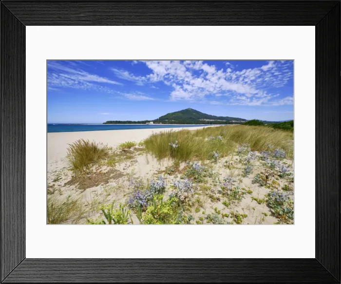 Framed Print : Sand dunes with its endemic flora and the beach of Caminha at the mouth of the River Framed Print : Sand dunes with its endemic flora and the beach of Caminha at the mouth of the River