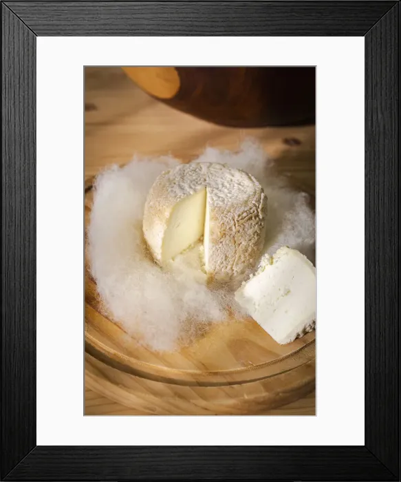Framed Print : Europe, Spain, Catalonia, Siruana d Empordaa, Tasting of the Llanut (woolly Framed Print : Europe, Spain, Catalonia, Siruana d Empordaa, Tasting of the Llanut (woolly
