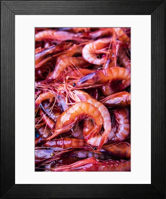 Framed Print : Spagna - Costa Brava - Food Joan Roca. Vaschetta di gamberi rossi appena pescati Framed Print : Spagna - Costa Brava - Food Joan Roca. Vaschetta di gamberi rossi appena pescati