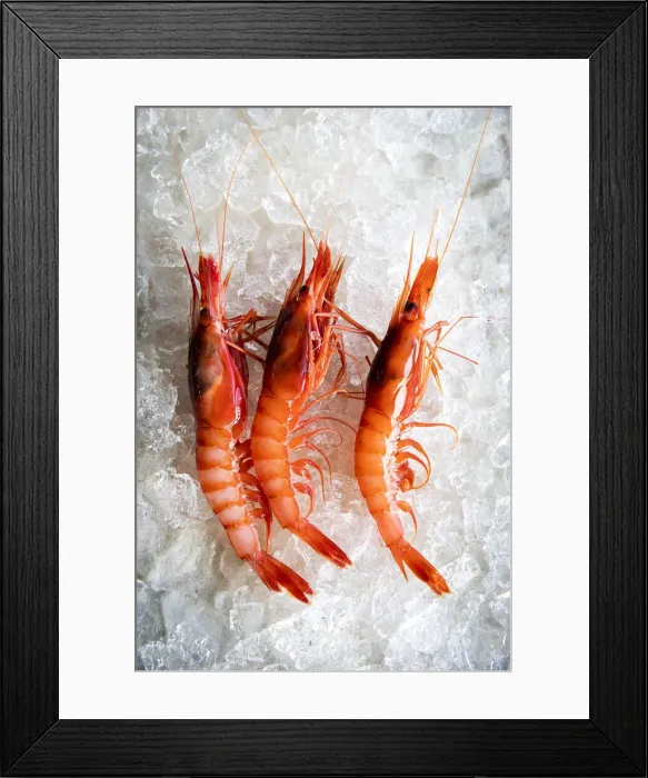 Framed Print : Europe, Spain, Catalonia, Costa Brava, Palamos, Recently catched Palamos Framed Print : Europe, Spain, Catalonia, Costa Brava, Palamos, Recently catched Palamos