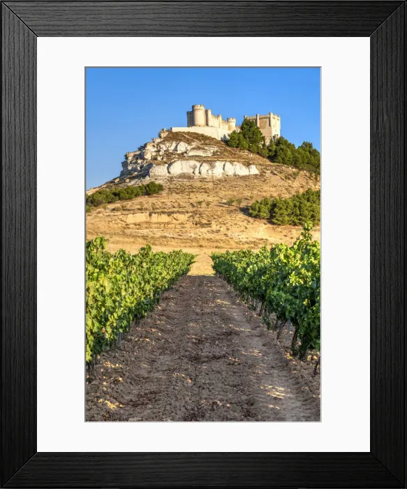 Framed Print : Vineyard with Castle of Penafiel in the background, Penafiel, Castile and Leon, Spain Framed Print : Vineyard with Castle of Penafiel in the background, Penafiel, Castile and Leon, Spain