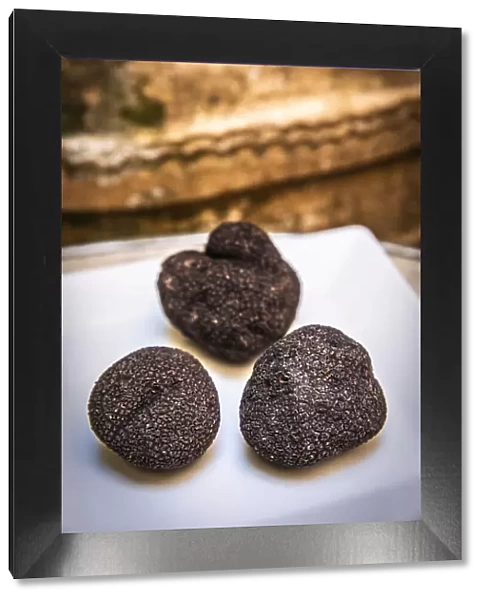 Spain, Aragon, Rubielos de Mora, Black truffle at the Los Leones restaurant