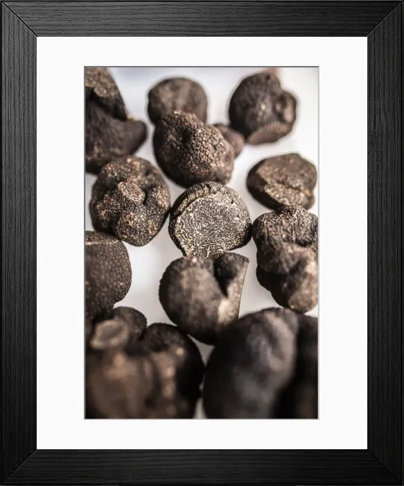 Framed Print : Spain, Aragon, Sarriaon, Black truffles (Tuber Melanosporum Framed Print : Spain, Aragon, Sarriaon, Black truffles (Tuber Melanosporum
