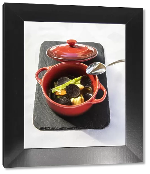 Spain, Aragon, Mora de Rubielos, Fresh vegetable soup with black truffle velouta©at