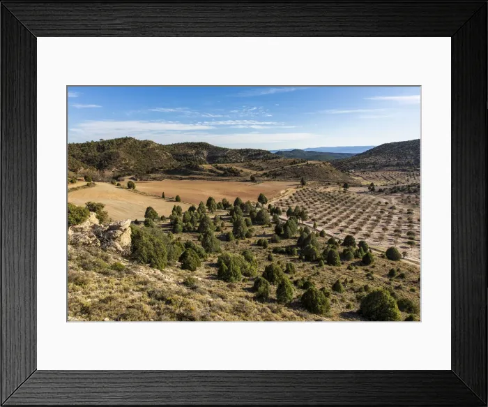 Framed Print : Spain, Aragon, Mora de Rubielos, Cultivation of truffles in the area of Mora de Rubielos Framed Print : Spain, Aragon, Mora de Rubielos, Cultivation of truffles in the area of Mora de Rubielos