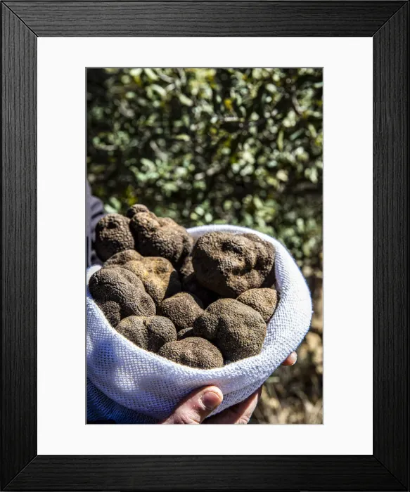 Framed Print : Spain, Aragon, Cantavieja, Bag of black truffles Framed Print : Spain, Aragon, Cantavieja, Bag of black truffles