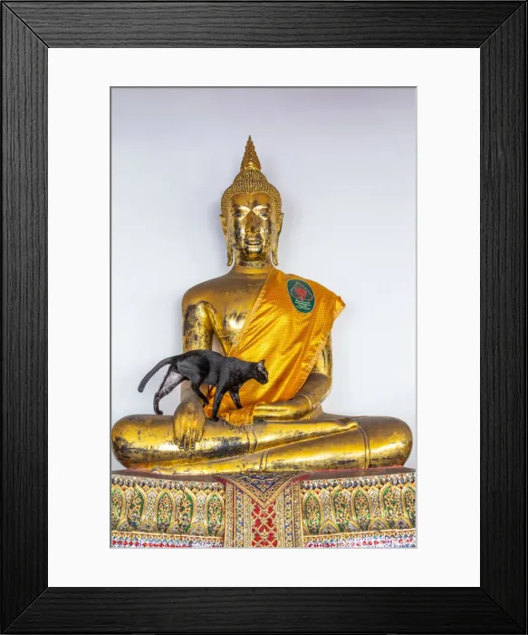 Framed Print : A black car walking on a Buddha statue in Wat Pho (Temple of the Reclining Buddha) Framed Print : A black car walking on a Buddha statue in Wat Pho (Temple of the Reclining Buddha)