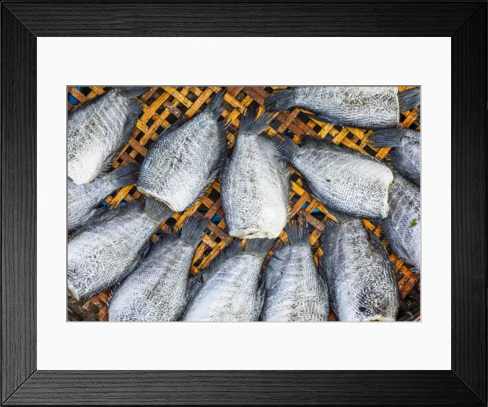 Framed Print : Fish for sale at Mueang Mai Market, Chiang Mai, Northern Thailand, Thailand Framed Print : Fish for sale at Mueang Mai Market, Chiang Mai, Northern Thailand, Thailand