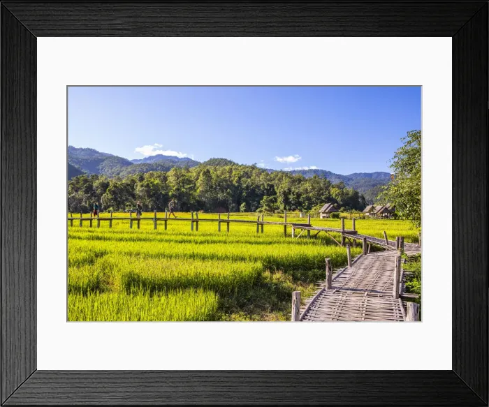 Framed Print : Bamboo bridge over paddy fields, Pai, Mae Hong Son province, Northern Thailand, Thailand Framed Print : Bamboo bridge over paddy fields, Pai, Mae Hong Son province, Northern Thailand, Thailand