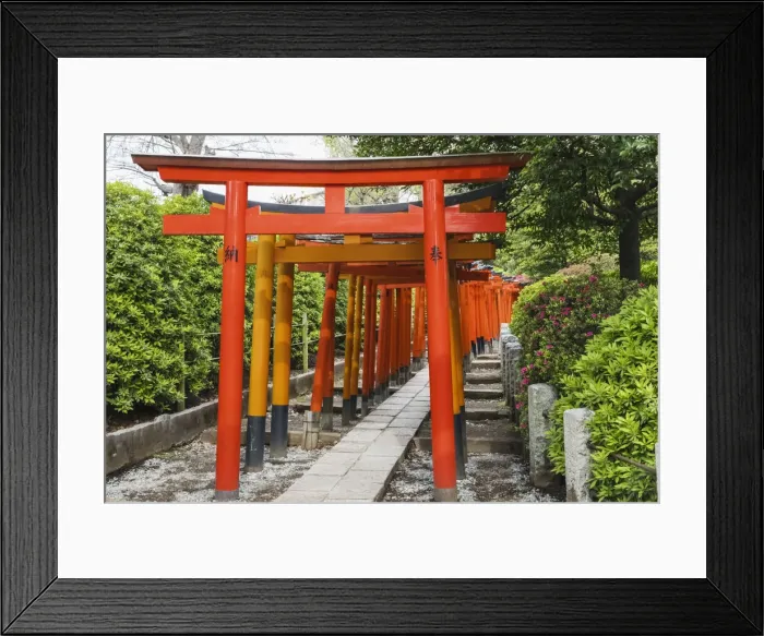 Framed Print : Japan, Honshu, Tokyo, Bunkyo-ku, Nezu Shrine, Torri (Gate) Tunnel Framed Print : Japan, Honshu, Tokyo, Bunkyo-ku, Nezu Shrine, Torri (Gate) Tunnel