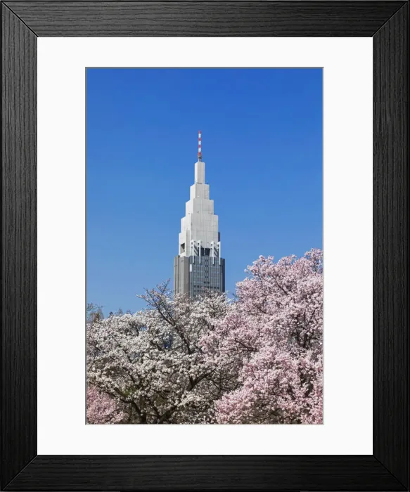 Framed Print : Japan, Honshu, Tokyo, Shinjuku, Shinjuku Goen National Garden Framed Print : Japan, Honshu, Tokyo, Shinjuku, Shinjuku Goen National Garden