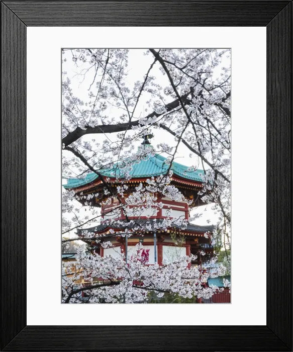 Framed Print : Japan, Honshu, Tokyo, Ueno, Ueno Park, Shinobazu Pond, Bentendo Temple