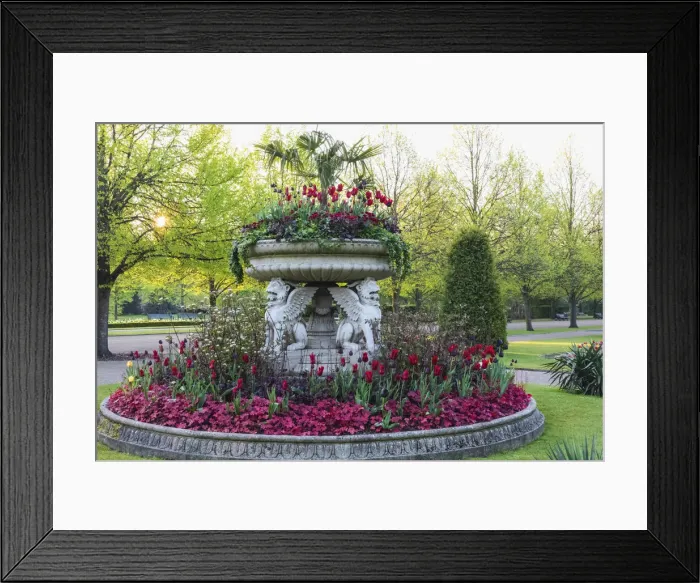 Framed Print : England, London, Regents Park, Avenue Gardens, The Griffin Tazza (Lion Vase Framed Print : England, London, Regents Park, Avenue Gardens, The Griffin Tazza (Lion Vase