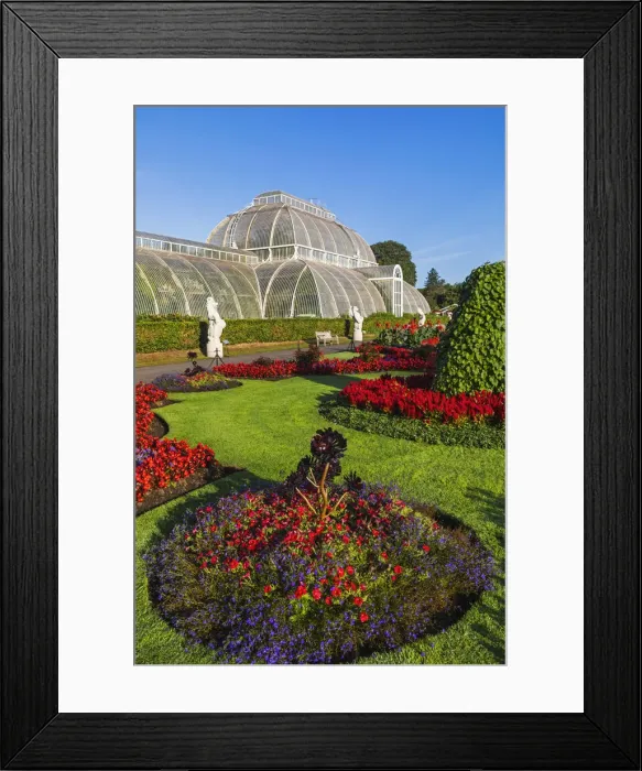 Framed Print : England, London, Richmond, Kew Gardens, The Palm House Framed Print : England, London, Richmond, Kew Gardens, The Palm House
