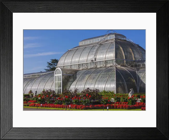 Framed Print : England, London, Richmond, Kew Gardens, The Palm House Framed Print : England, London, Richmond, Kew Gardens, The Palm House