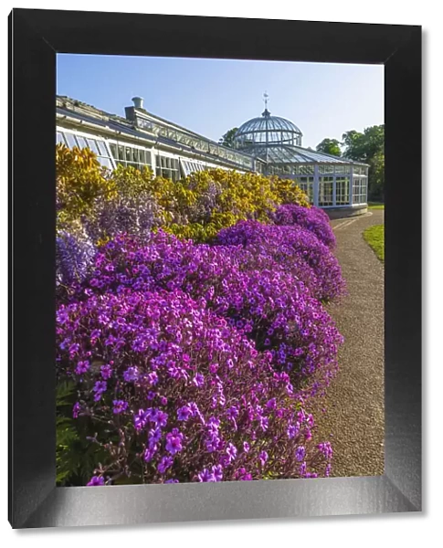 England, London, Chiswick, Chiswick House and Gardens, The Conservatory