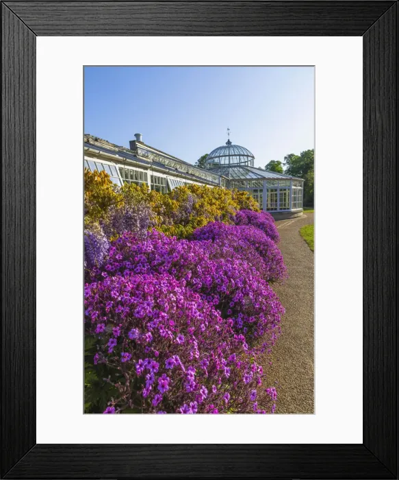 Framed Print : England, London, Chiswick, Chiswick House and Gardens, The Conservatory Framed Print : England, London, Chiswick, Chiswick House and Gardens, The Conservatory