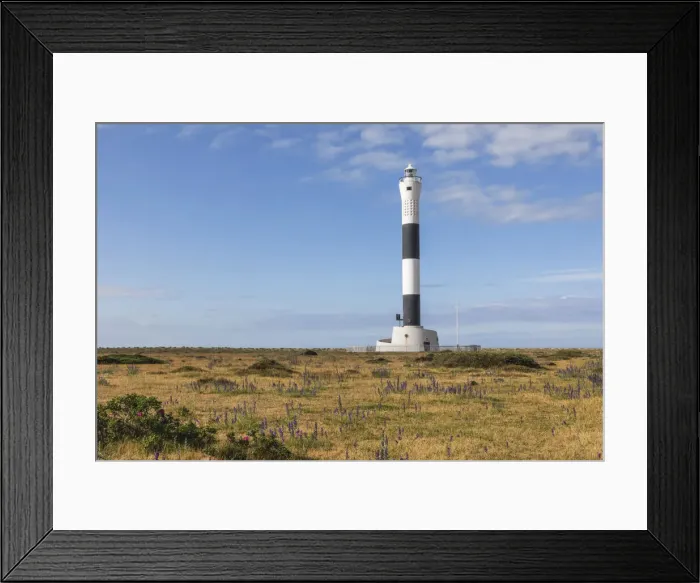 Framed Print : England, Kent, Dungeness, The New Lighthouse Framed Print : England, Kent, Dungeness, The New Lighthouse