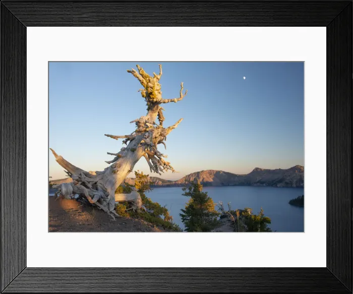Framed Print : USA; Pacific Northwest, Oregon, Crater Lake, National Park Framed Print : USA; Pacific Northwest, Oregon, Crater Lake, National Park