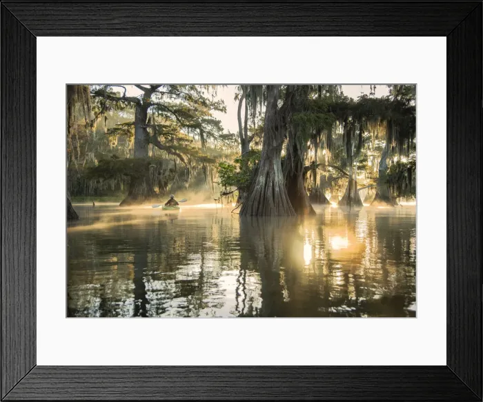 Framed Print : USA, Louisiana, Jefferson Parish, St. Martinville, Lake Fausse Framed Print : USA, Louisiana, Jefferson Parish, St. Martinville, Lake Fausse