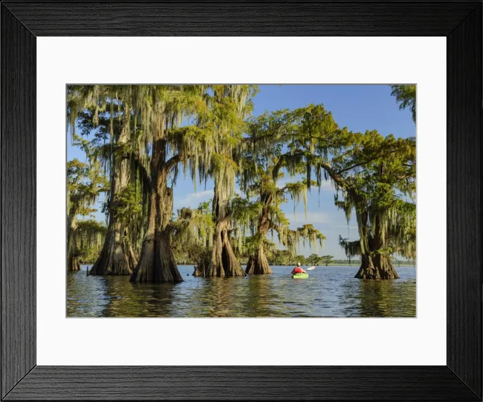 Framed Print : USA, Louisiana, Jefferson Parish, St. Martinville, Lake Fausse