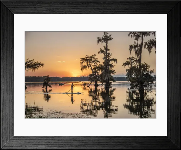 Framed Print : USA, Louisiana, Jefferson Parish, Lafayette, Lake Martin, woman on paddle board at sunset Framed Print : USA, Louisiana, Jefferson Parish, Lafayette, Lake Martin, woman on paddle board at sunset