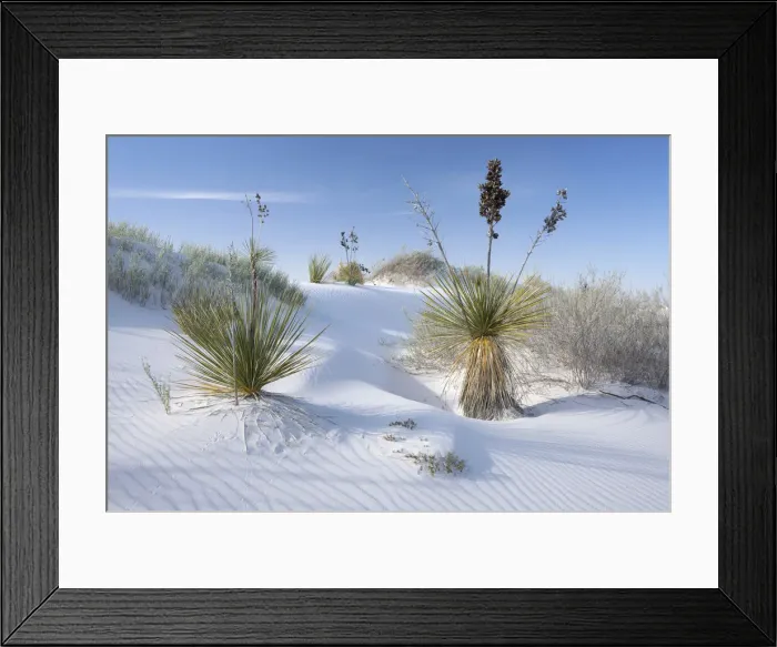 Framed Print : USA; New Mexico; White Sands; National Monument; National Park Framed Print : USA; New Mexico; White Sands; National Monument; National Park