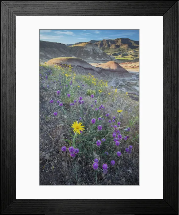 Framed Print : USA, America, American, Pacific Norhwest, Central Oregon, Oregon, Wheeler County Framed Print : USA, America, American, Pacific Norhwest, Central Oregon, Oregon, Wheeler County