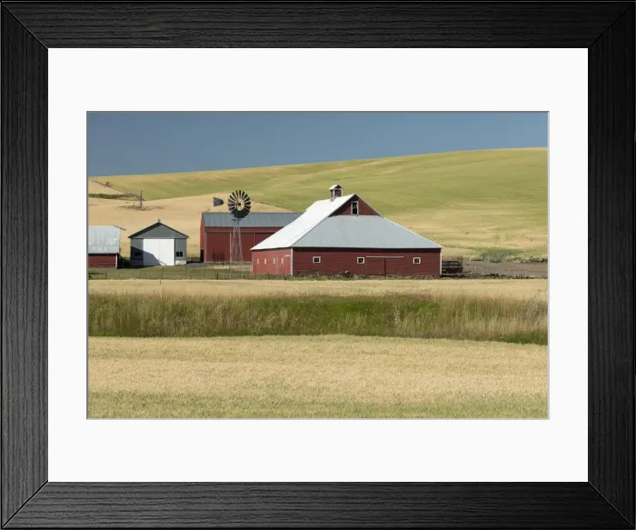 Framed Print : USA; Washington, Palouse Region Framed Print : USA; Washington, Palouse Region