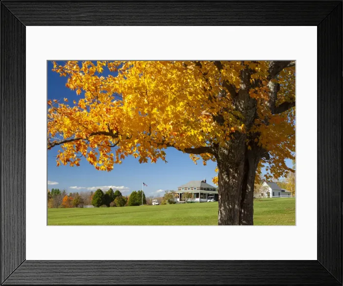 Framed Print : USA, New England, Indian Summer, East, New Hampshire, golf course in fall near Sugar Framed Print : USA, New England, Indian Summer, East, New Hampshire, golf course in fall near Sugar