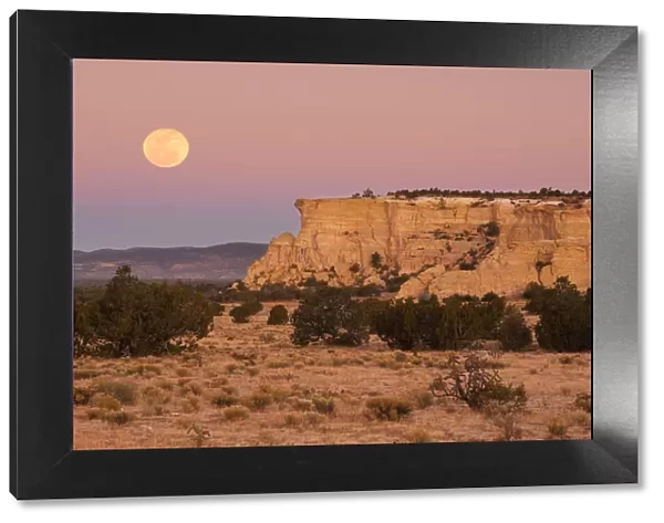 (m) morning at El Malpais National Monument, near Grants, New Mexico, USA