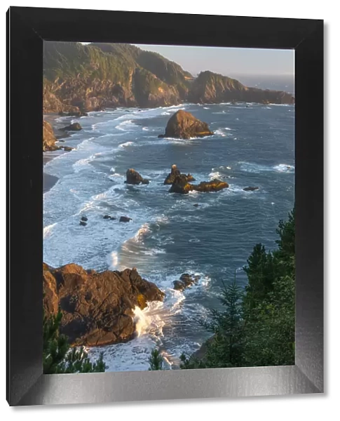 USA; West Coast; Oregon; Samuel H. Boardman; State Park, coastal cove