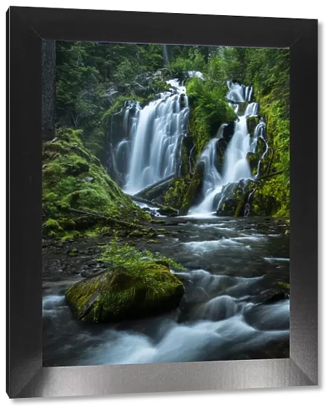 USA; Pacific Northwest, Oregon, National Creek Falls at Union creek