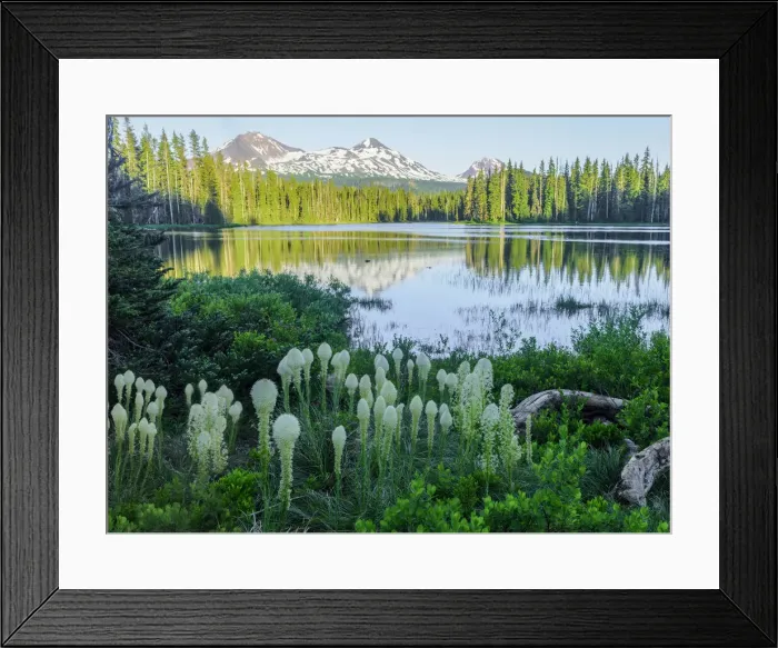 Framed Print : USA, Cascades, Oregon, mountains and Scott Lake with Bear Grass