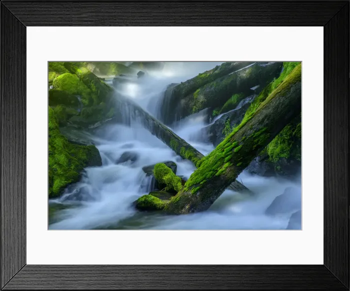Framed Print : USA, Oregon, National Creek Falls Framed Print : USA, Oregon, National Creek Falls