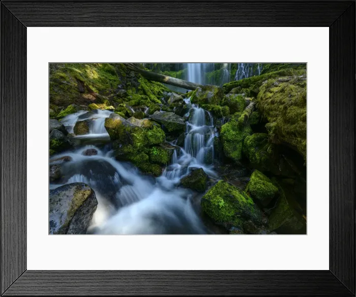 Framed Print : USA, Oregon, Oregon, Willamette National Forest, Proxy Falls Framed Print : USA, Oregon, Oregon, Willamette National Forest, Proxy Falls
