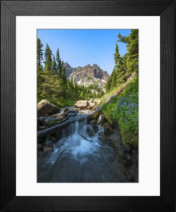 Framed Print : USA, Pacific Northwest, Oregon, Mount Jefferson Wilderness, Canyon Creek meadows Framed Print : USA, Pacific Northwest, Oregon, Mount Jefferson Wilderness, Canyon Creek meadows