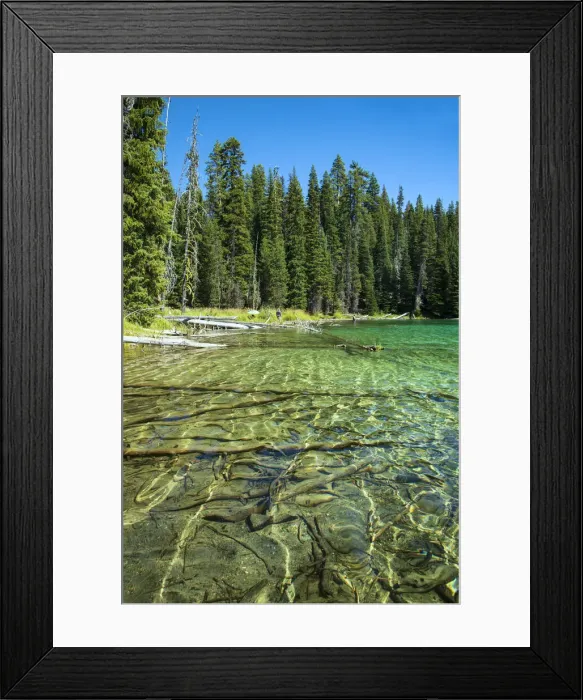 Framed Print : USA, Pacific Northwest, Oregon, Deschutes County, Deschutes National Forest, Blue Lagoon